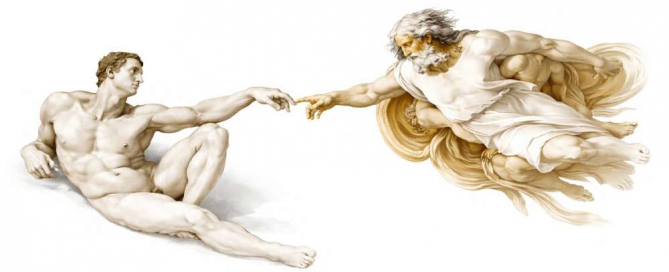 Echelon Longevity Protocol